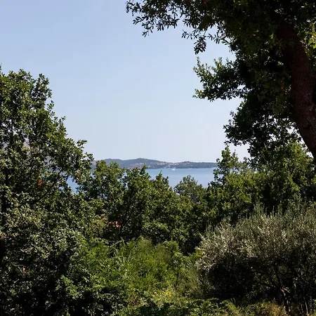 Διαμέρισμα Nike Mlini